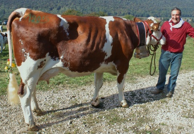 Urbanite du Gaec Morel, de Clerval