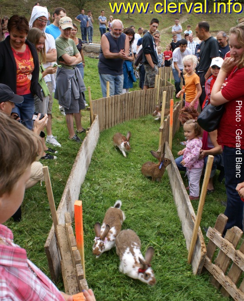 Le tierc des lapins