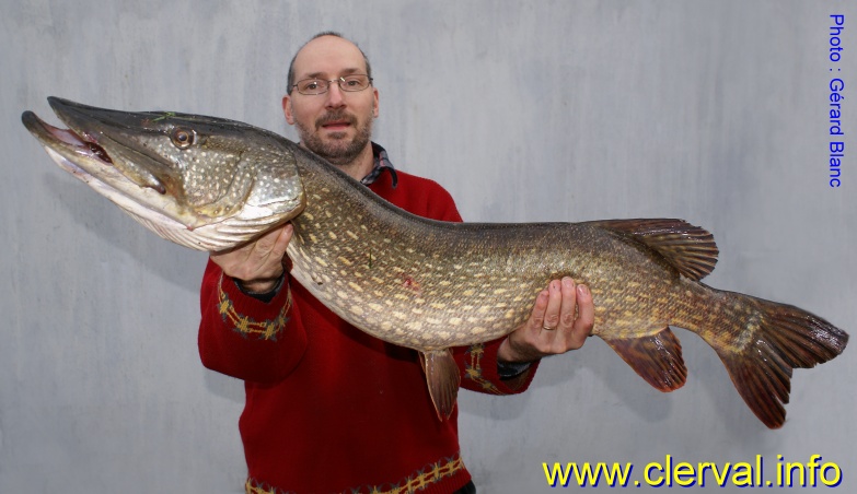 brochet  Clerval